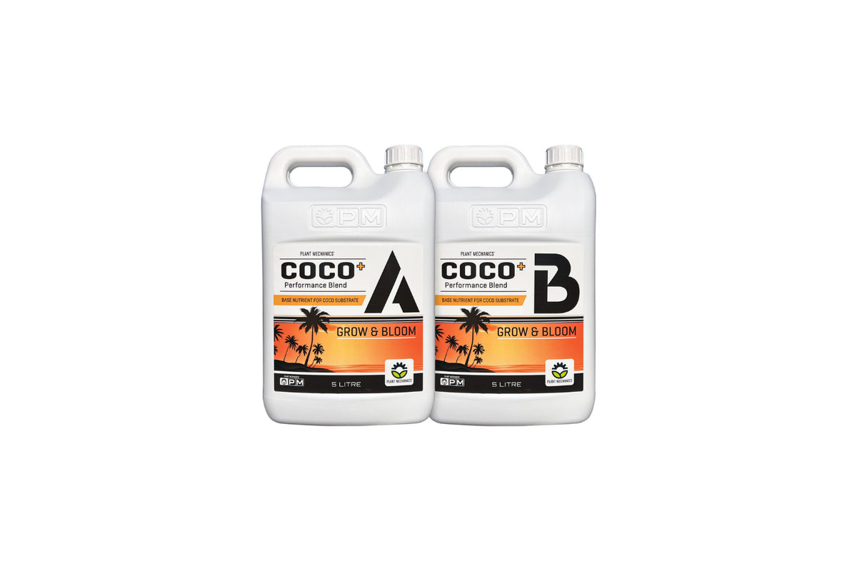 COCOAB5LITROS
