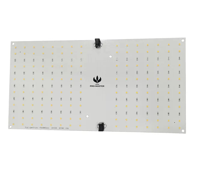 Quantum Board PRO-MASTER