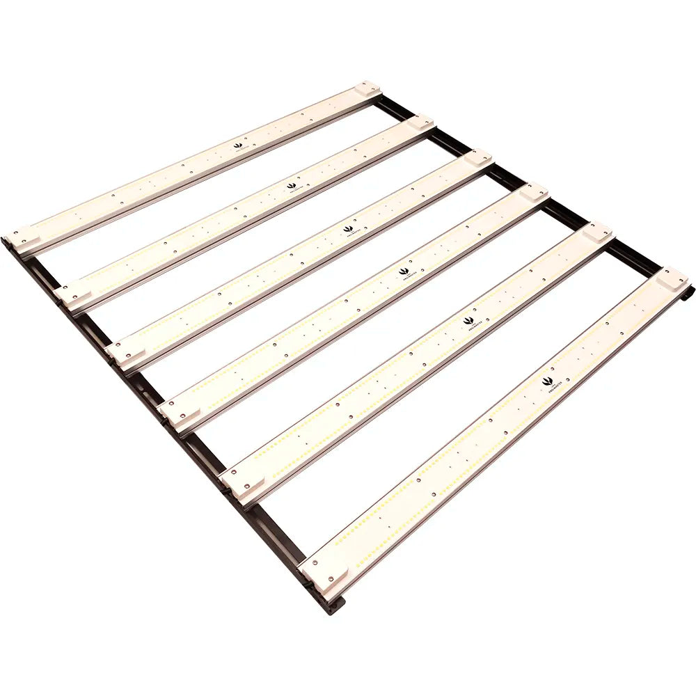 Quantum Board PRO-MASTER