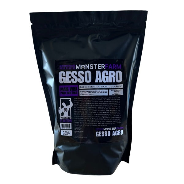gesso800