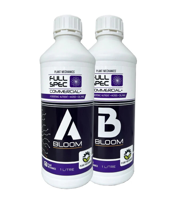 PMBLOOM5L