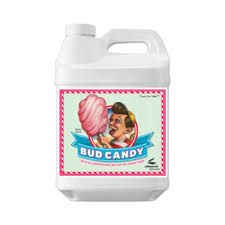 ANCANDY500