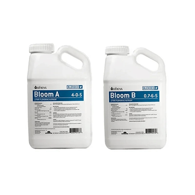 Kit Athena Bloom A+B