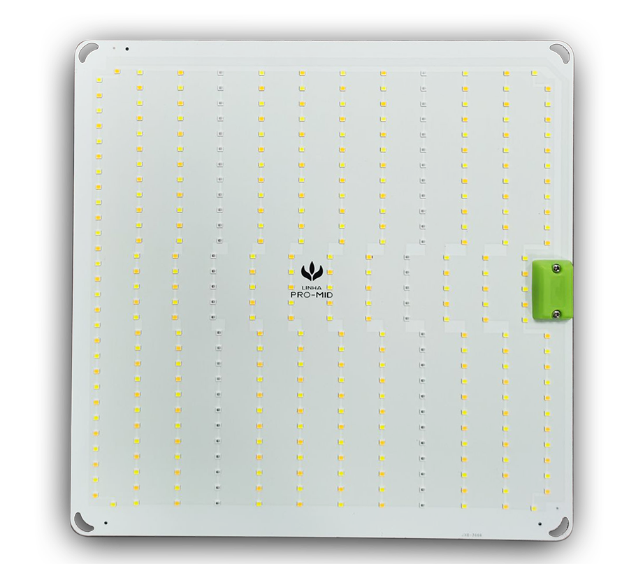 Quantum Board Samsung Pro-Mid