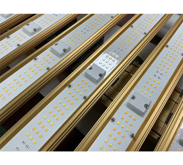 Quantum Board Samsung Pro-Mid