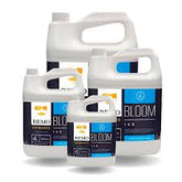REMOBLOOM4