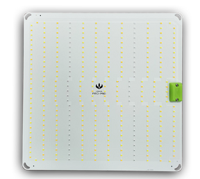 Quantum Board Samsung Pro-Mid